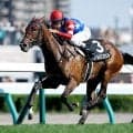 【門別・エーデルワイス賞】地元馬が好成績の一戦 今年の注目馬は？