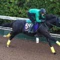 【天皇賞・秋】毎日王冠勝ち馬セイウンハーデスが貫禄の走り　ラストランに橋口調教師「すごく特別な馬」