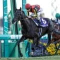 【天皇賞(秋)枠順確定】クロワデュノールは1枠1番、マスカレードボールは4枠7番