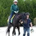 【注目馬動向】モンローウォークは来年のドバイ・ターフに直行予定　上村調教師「今年はもう...」　５戦無敗の秋華賞馬が海外挑戦へ　