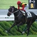 【ファンタジーS出走馬・騎手確定】ブライトスクリプト＆池添謙一騎手、フェリチタ＆松山弘平騎手など11頭
