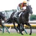 【天皇賞(秋)・調教後馬体重】クロワデュノールは520kg、マスカレードボールは486kg