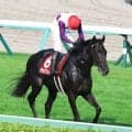 【注目馬動向】セントライト記念で２着のサヴォアフェール、カシオペアＳ２着のジーティーアダマンは中日新聞杯へ