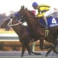 史上2頭目の3歳馬の戴冠 バブルガムフェローの96年天皇賞(秋)から30年