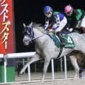【ネクストスター名古屋】ニューハーピーが４連勝で重賞初勝利　渡辺竜也騎手「直線に向いてもうひとつギアが入ってくれた」