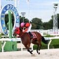 【阪神アーバン競馬】小牧太騎手のジョイドールが重賞連勝　息子の前でのＶに「いつもいいところは見せているからね」ネクストスター園田