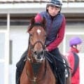 【ＰＯＧ】兄にファルコニアなど重賞好走馬が多数のフォコンノワールが土曜京都５Ｒでデビュー　友道調教師「中長距離で良さそうなタイプ」