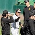 阪神・カツノリコーチ　ＩＤではなくＬＰ野球　秋季練習合流即モットー披露「愛情（Love）と情熱（Passion）」