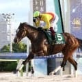 【大井競馬】30日５Ｒでデビュー２連勝を狙う良血プリンセスリボン　半兄は東京ダービー馬アランバローズ
