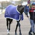 【天皇賞・秋】マスカレードボール連覇へ２２年から４連勝中の７番枠