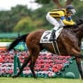 半姉はオークス馬カムニャック プレイザリードが3連勝なるか