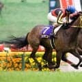 名牝ブエナビスタの孫 ロイヤルヴェイズがプーシャン騎手でデビュー勝ち狙う