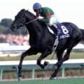シンボリクリスエスが大外枠から連覇達成 03年天皇賞(秋)をプレイバック