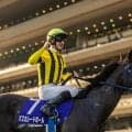 【競馬予想】天皇賞・秋で勝つのはどっちだ！　令和の頂上決戦「クロワデュノールvsマスカレードボール」