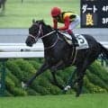 【ファンタジーS枠順確定】ブライトスクリプトは7枠8番、フェリチタは8枠10番
