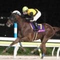 【ＪＢＣレディスクラシック・枠順確定】武豊騎手と初コンビのメモリアカフェは５枠５番　重賞連勝中のタガノミストは大外８枠１２番
