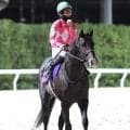 【ＪＢＣクラシック・枠順確定】Ｃデムーロ騎手と再コンビの３歳ワンダーディーンは８枠１１番　ホウオウルーレットは７枠１０番