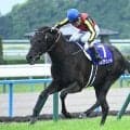 父キタサンブラック以来で史上6頭目の偉業へ クロワデュノールが天皇賞春秋制覇に挑む