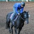 【天皇賞秋・金曜気配】クロワデュノールは史上初の父子２代での春秋連覇へ最終調整　斉藤崇調教師「変わりなくきている」