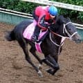 【ファンタジーＳ・金曜気配】ブライトスクリプトは雨馬場でも松下調教師「馬格があるから、大丈夫だと思います」