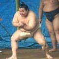 新小結の美ノ海が秋場所千秋楽以来の相撲で６番　師匠の木瀬親方も信頼「自分のペースでやれば」