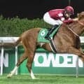 凱旋門賞馬ソットサスの全弟シンエンペラーが現役引退　今後はアロースタッドで種牡馬に　矢作調教師「悔いの方が大きいです」