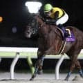 【金沢・JBCレディスクラシック枠順】メモリアカフェは5枠5番、タガノミストは8枠12番