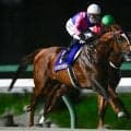 【金沢・JBCスプリント枠順】メイショウハチローは8枠11番、ウィルソンテソーロは7枠10番