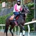 【注目馬動向】タイセイボーグの次戦はターコイズＳ　実績あるマイルで復活狙う　メイショウズイウンは交流重賞路線