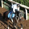 【ＪＢＣクラシック】アウトレンジがＧ１級競走初Ｖへ力強い走り　大久保調教師「上がっているのは間違いない」