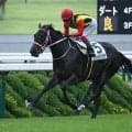 【ファンタジーS予想】前走の位置取りと血統に不安あり!? 人気馬が該当した消去法データとは