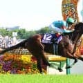 【注目馬動向】ヴィクトリアＭを制したエンブロイダリー　次走のマイルＣＳは引き続きルメール騎手とコンビ