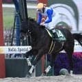 【みやこS想定馬・騎手】ロードクロンヌ、ラムジェットなど17頭