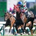 【京王杯2歳S想定馬・騎手】ブルージェイ、インパルスドライブなど10頭