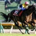 【エリザベス女王杯想定馬・騎手】カムニャック、ジュウリョクピエロなど23頭
