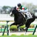 【ファンタジーS予想】阪神JFへ向けた前哨戦 先行力問われる京都外回り1400m