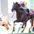 【競馬予想】天皇賞・秋で注目すべき血統は？　本命は過去５年の勝ち馬と共通の血を持つ６歳馬