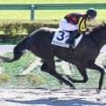 【東京４Ｒ・２歳新馬】ワイワイシャイニーが逃げ切りで初陣Ｖ　荻野極騎手「よくしのいでくれました」
