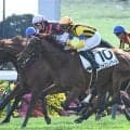 【京都5R新馬戦結果】キタサンブラック産駒フォコンノワールがゴール前の争いを制してV