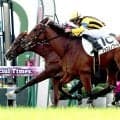 【京都５Ｒ・２歳新馬】母は米Ｇ１馬　直線で突き抜けたフォコンノワールに岩田望来騎手「ゲートだけが残念」