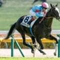 【東京5R新馬戦結果】イクイノックスの全妹エクアトーレが突き抜け完勝！