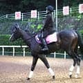 土曜京都競馬場の注目激走馬…京都１１Ｒファンタジーステークス・Ｇ３