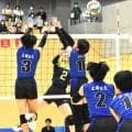 茨城は男女ともに土浦日大、徳島は城東と城南が全国切符　春高バレー地方大会