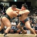 学生横綱にバヤルボルドが輝く「前に攻めることを意識」　８強以上で大相撲の幕下最下位格付け出し資格