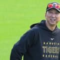 「DHはアベレージヒッターではなく、大砲でお願いします」阪神オフの補強戦略にファン注目　オリックス30歳右の好打者をめぐって「エンカーナシオン、サノーなどの助っ人レベルを…」