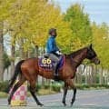 【天皇賞・秋・土曜気配】レガレイラは坂路とダートコースで最終調整　木村調教師「いいコンディションで無事に」