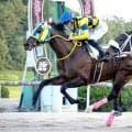 【大村湾賞】佐賀３歳最強のサキドリトッケンが年長馬との初対決で敗れる　スターオブフェイスが粘りを発揮してＶ