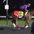 【ＢＣクラシック】勝てば総獲得賞金５５億円突破　昨年覇者フォーエバーヤングが挑む大記録はほかにも…