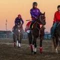 【ブリーダーズカップデー見どころ】日本のフォーエバーヤング25年ぶりの偉業へ…日本馬8頭が米国G1に挑戦