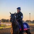 【BCスプリント枠順】日本勢はテーオーエルビス、アメリカンステージが参戦
